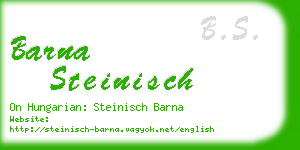 barna steinisch business card